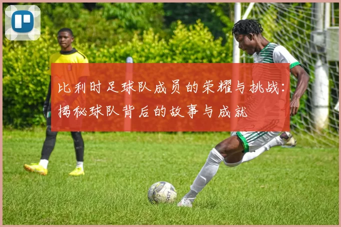 比利时足球队成员的荣耀与挑战：揭秘球队背后的故事与成就