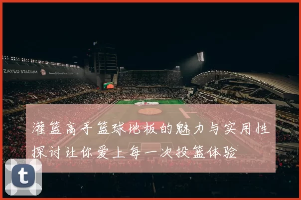 灌篮高手篮球地板的魅力与实用性探讨让你爱上每一次投篮体验